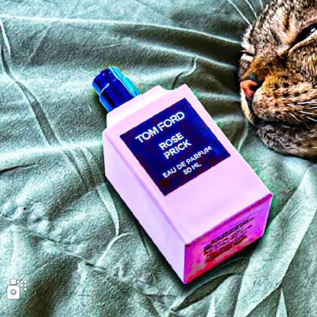 عطر ادکلن روز پریک تام فورد - Rose Prick Tom Ford - بررسی، قیمت و خرید