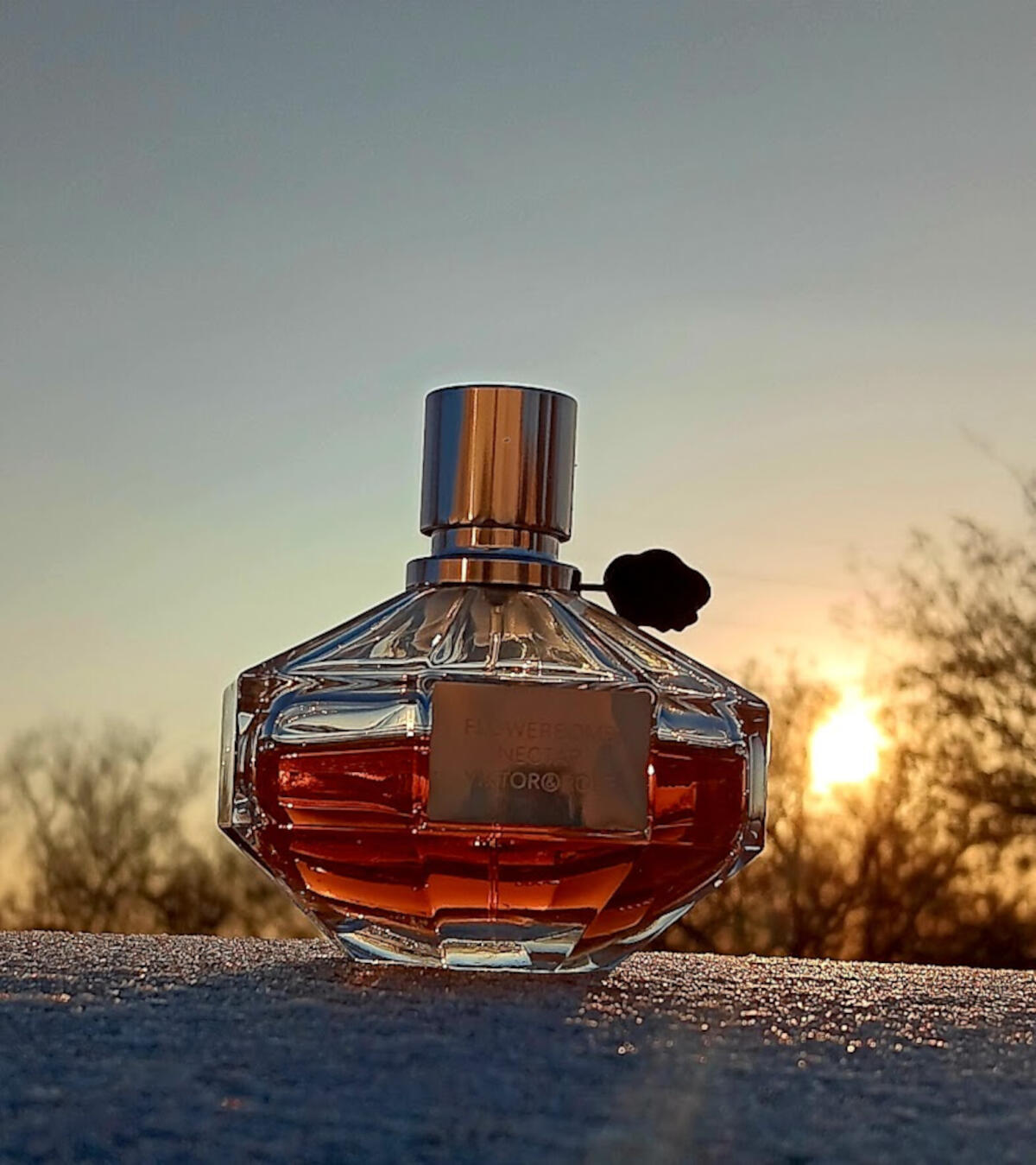 عطر ادکلن فلاوربامب نکتار ویکتور اند رولف - Flowerbomb Nectar Viktor&Rolf - بررسی، قیمت و خرید