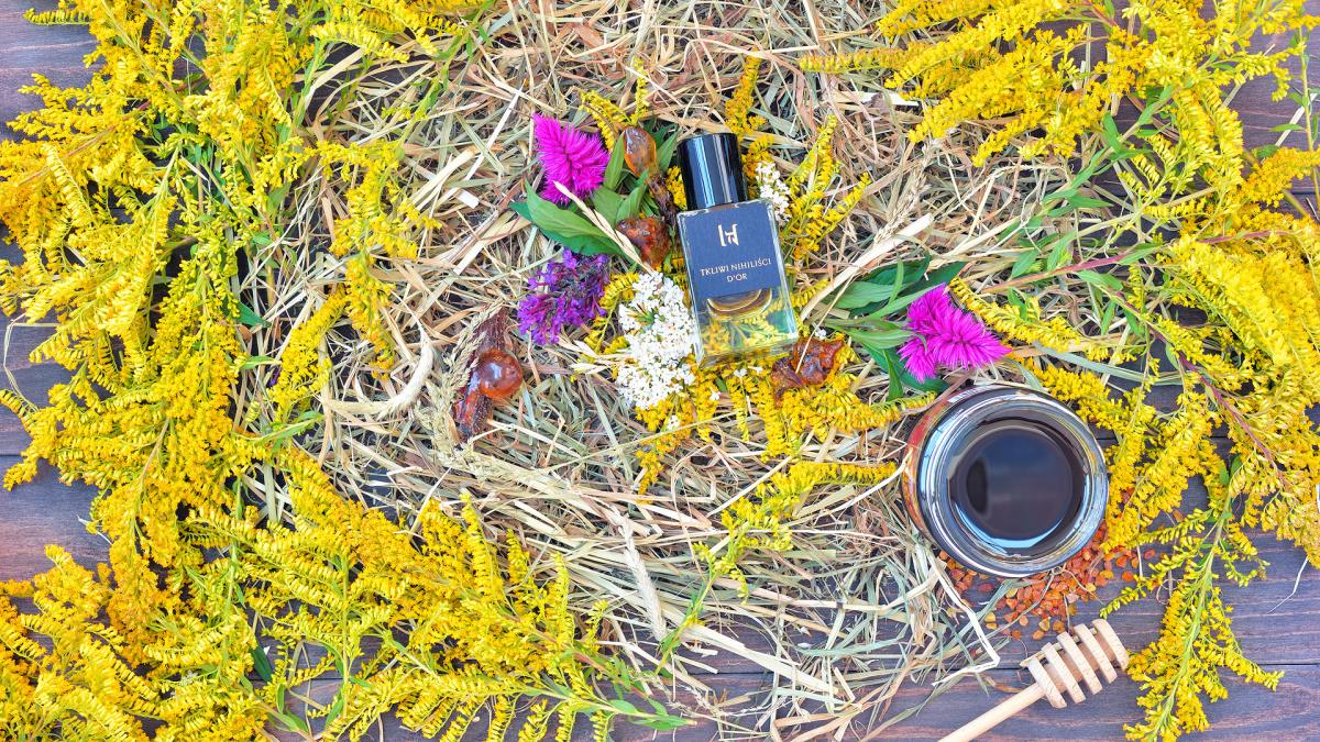 عطر ادکلن دور تکلیوی نیهیلیستی - D'OR Tkliwi Nihilisci - بررسی، قیمت و خرید