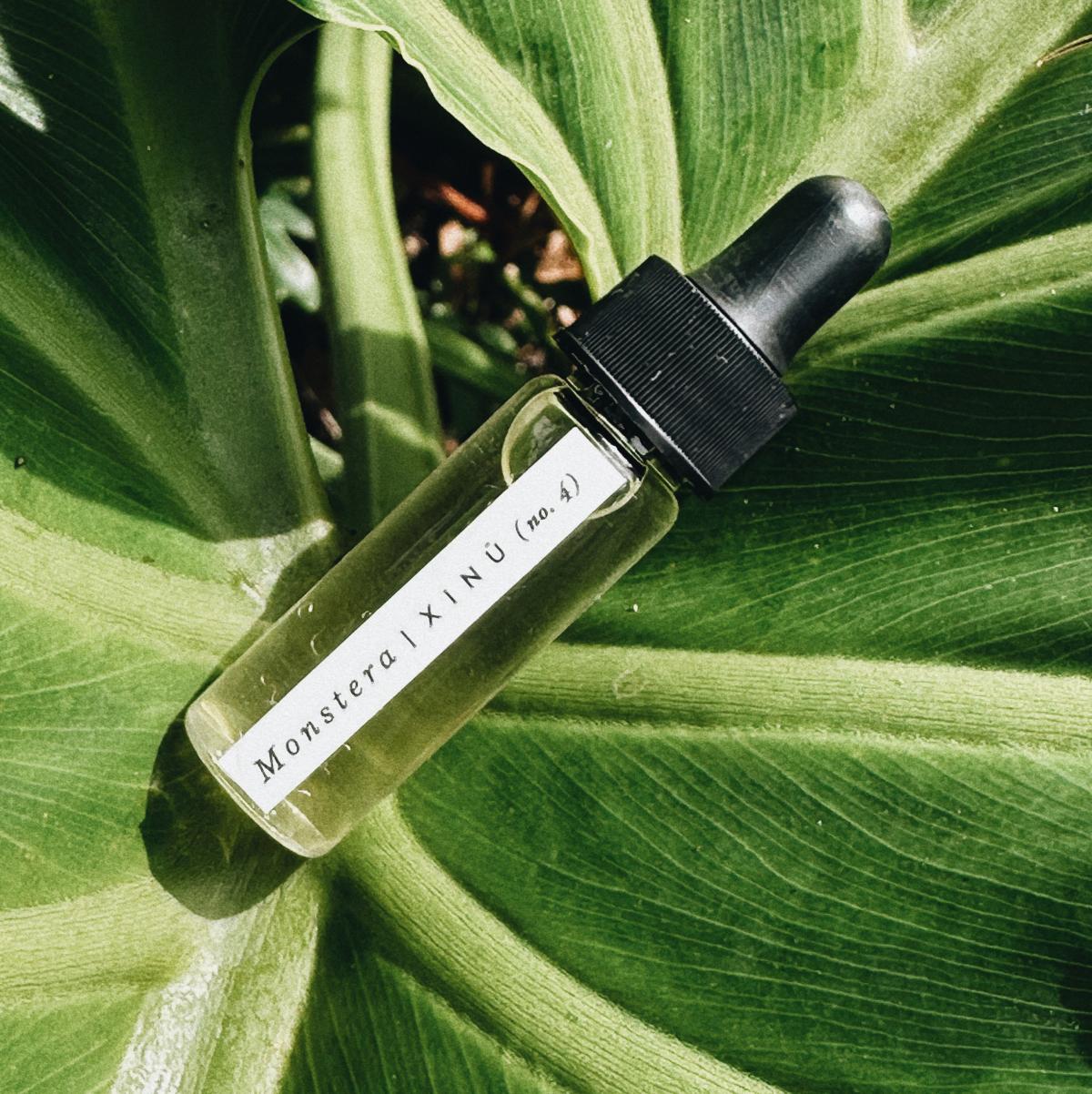 عطر ادکلن مانسترا شینو - Monstera Xinú - بررسی، قیمت و خرید