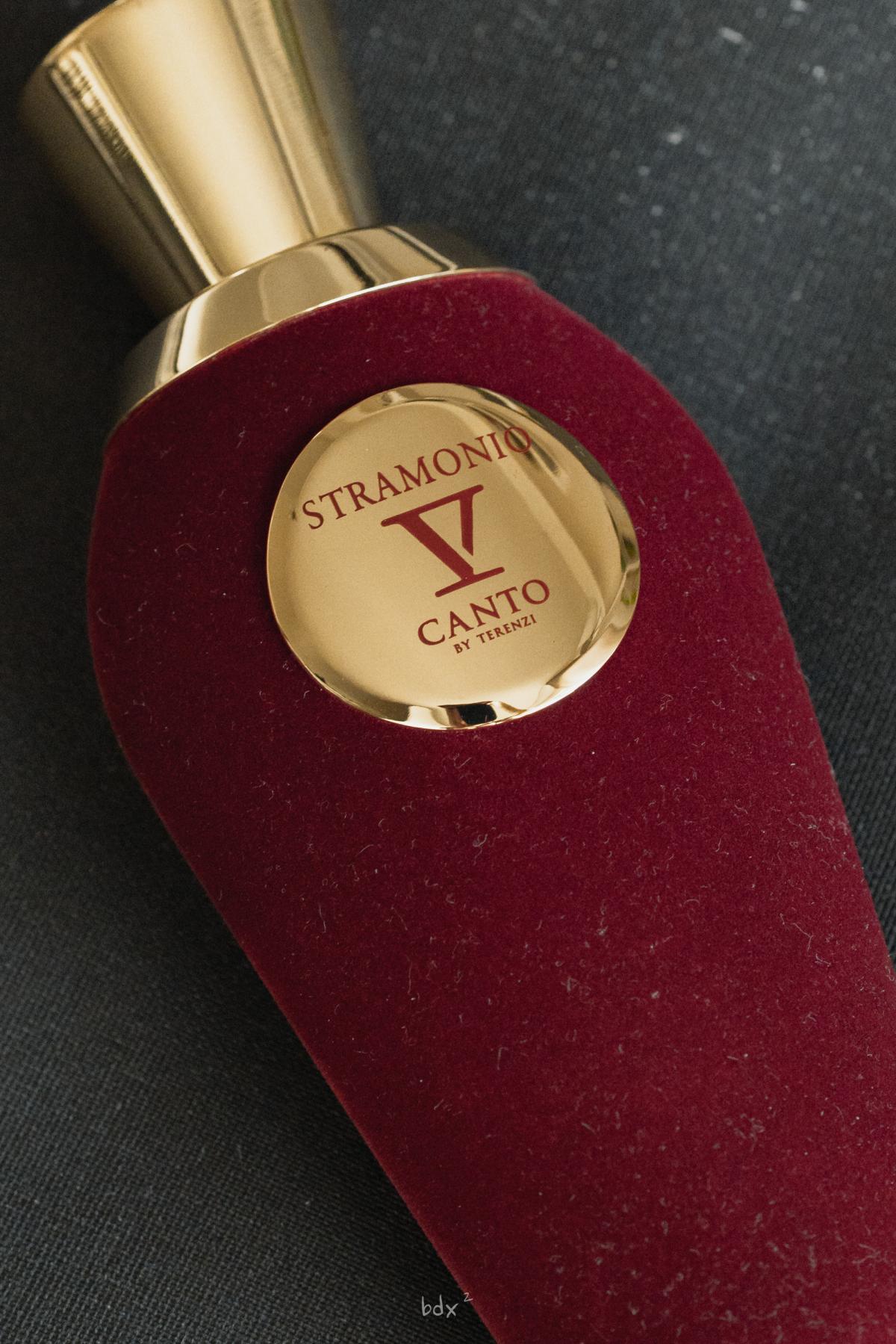 عطر ادکلن استرامونیو وی کانتو - Stramonio V Canto - بررسی، قیمت و خرید
