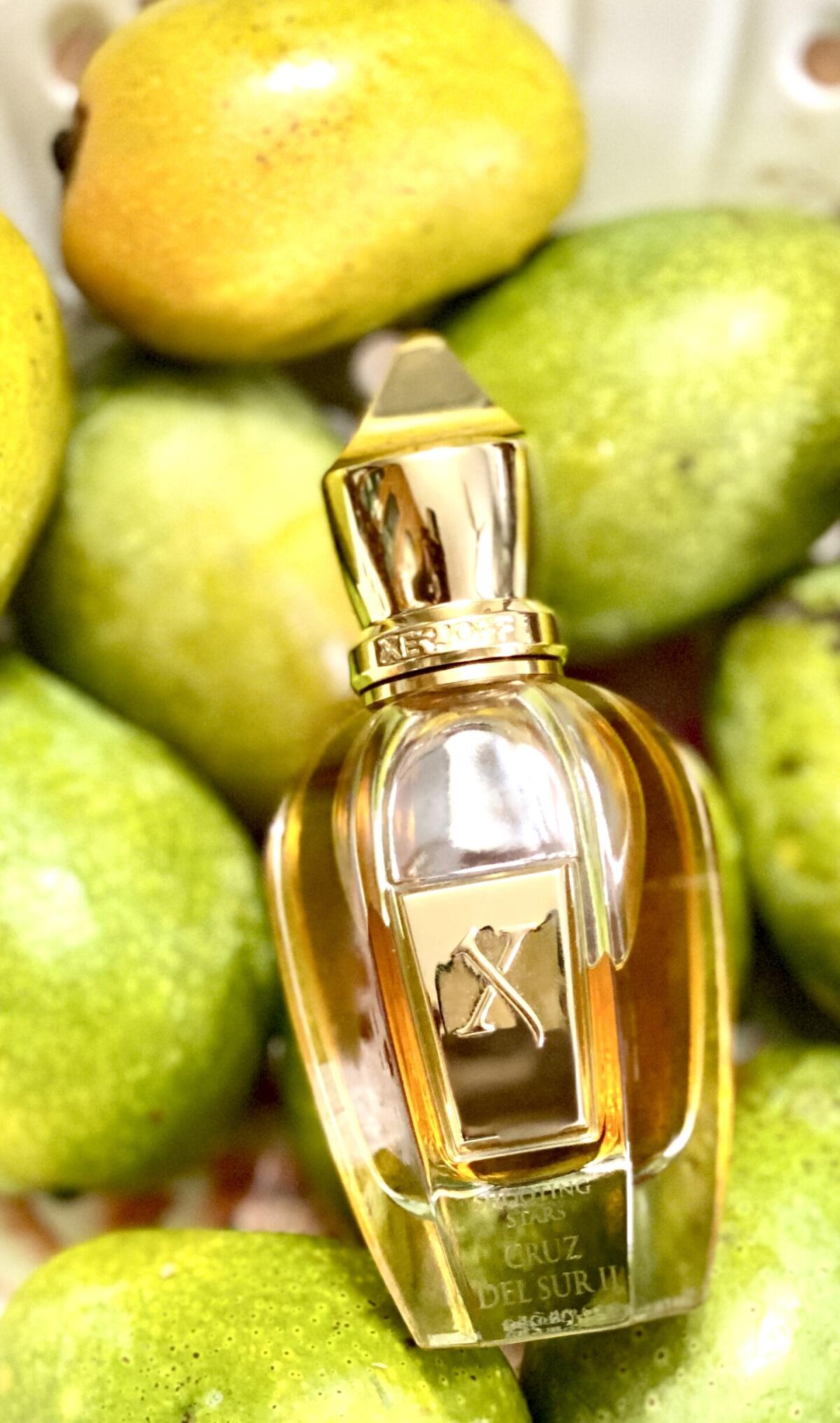 عطر ادکلن کروز دل سور دو زرژوف - Cruz del Sur II Xerjoff - بررسی، قیمت و خرید