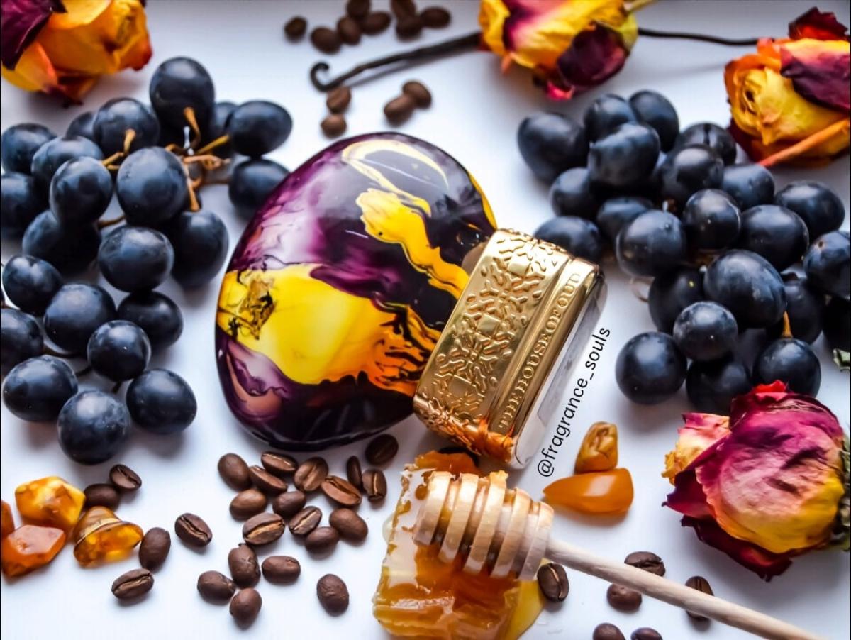 عطر ادکلن گریپ پرلز د هاوس آو اود - Grape Pearls The House of Oud - بررسی، قیمت و خرید
