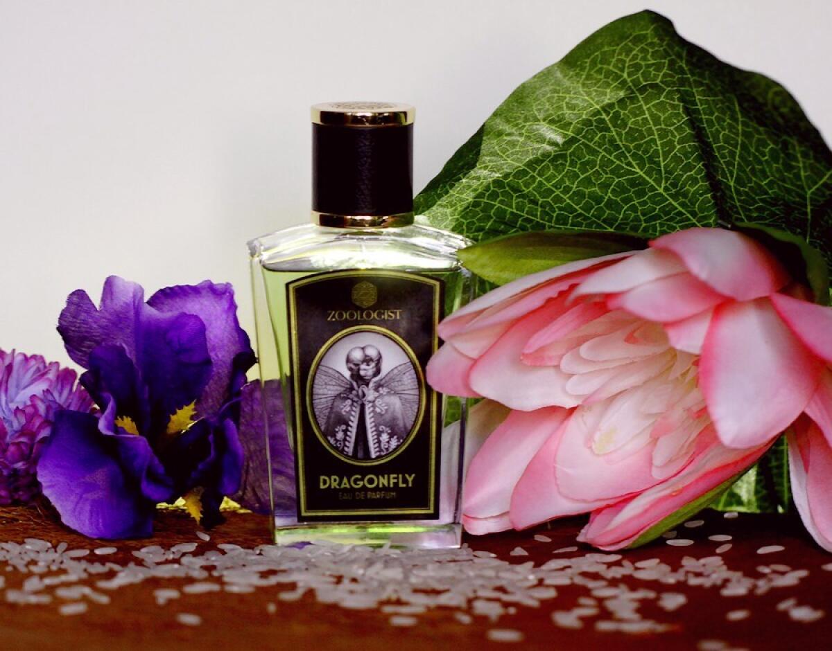 عطر ادکلن دراگون فلای زولوژیست پرفیومز - Dragonfly Zoologist Perfumes - بررسی، قیمت و خرید