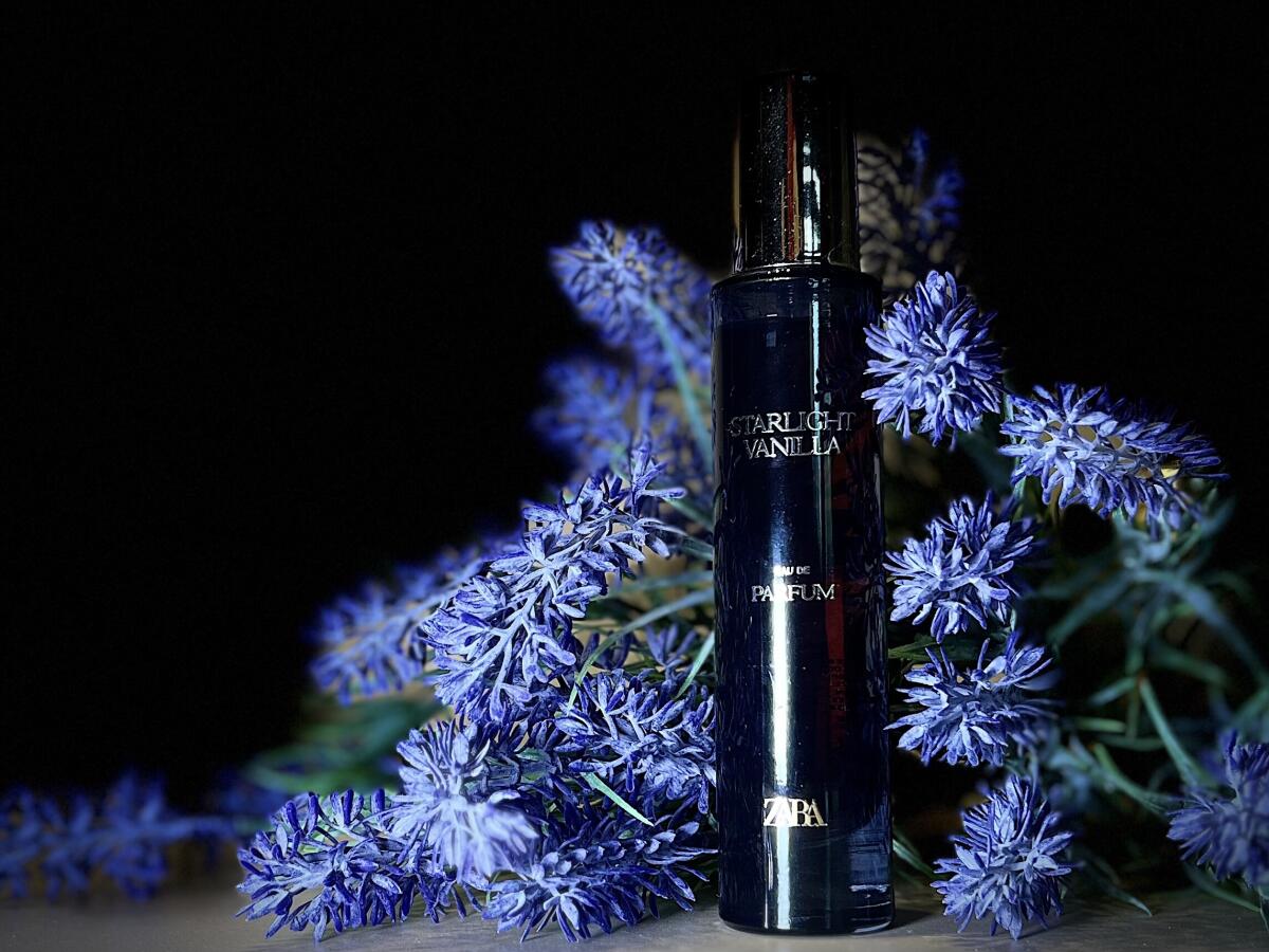 عطر ادکلن استارلایت وانیلا زارا - Starlight Vanilla Zara - بررسی، قیمت و خرید