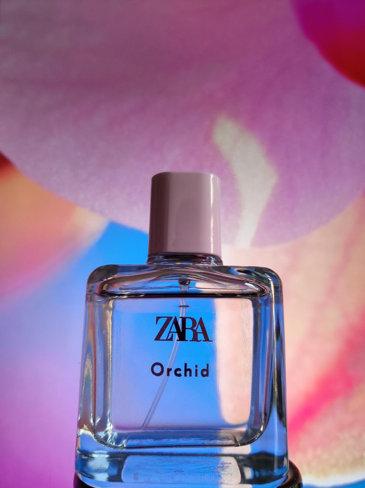 عطر ادکلن ارکید ۲۰۱۹ زارا - Orchid 2019 Zara - بررسی، قیمت و خرید