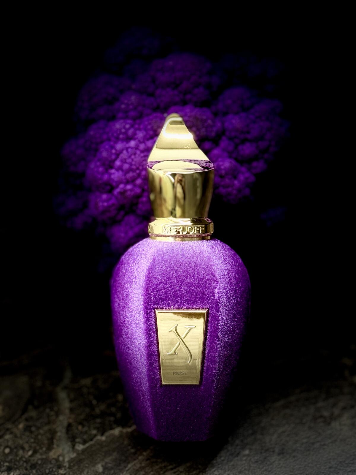 عطر ادکلن میوز زرجف - Muse Xerjoff - بررسی، قیمت و خرید