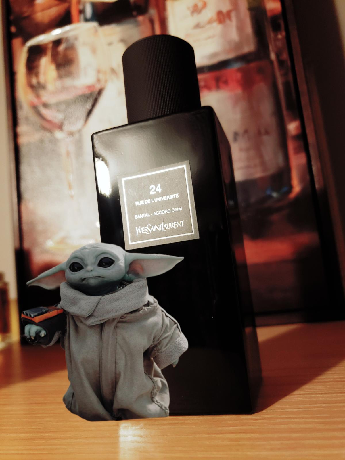 عطر ادکلن بیست و چهار رو دو لونیورسیته ایو سن لورن - 24 rue de l'Université Yves Saint Laurent - بررسی، قیمت و خرید