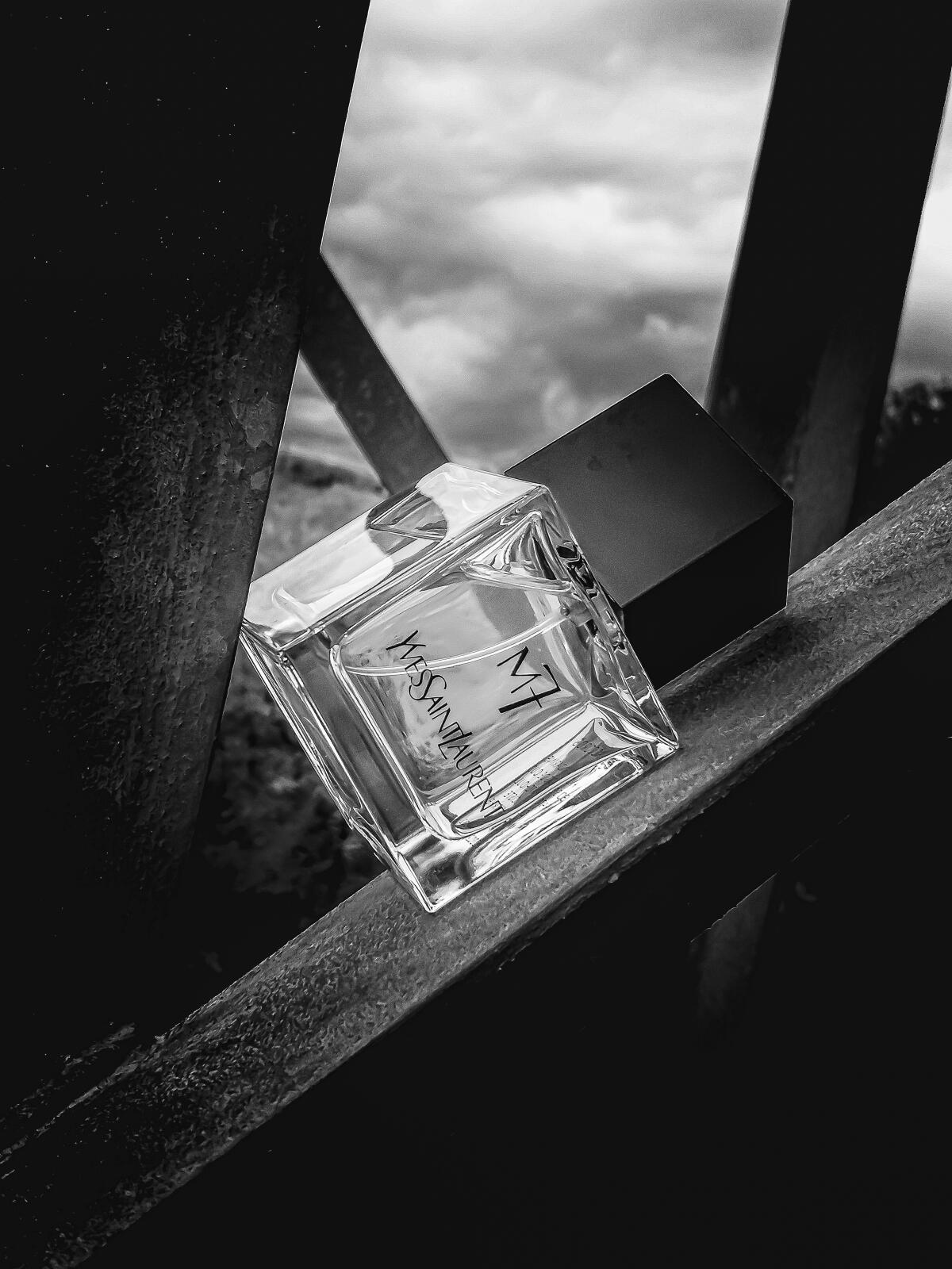 عطر ادکلن ام هفت ایو سن لورن - M7 Yves Saint Laurent - بررسی، قیمت و خرید