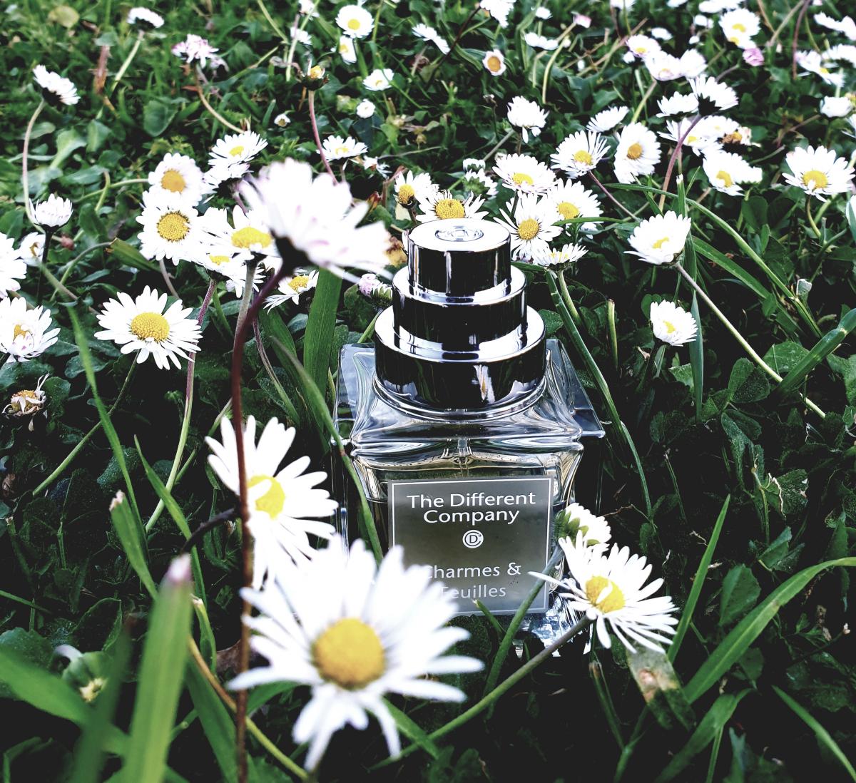 عطر ادکلن شارمِت فوی د دیفرنت کمپانی - Charmes et Feuilles The Different Company - بررسی، قیمت و خرید