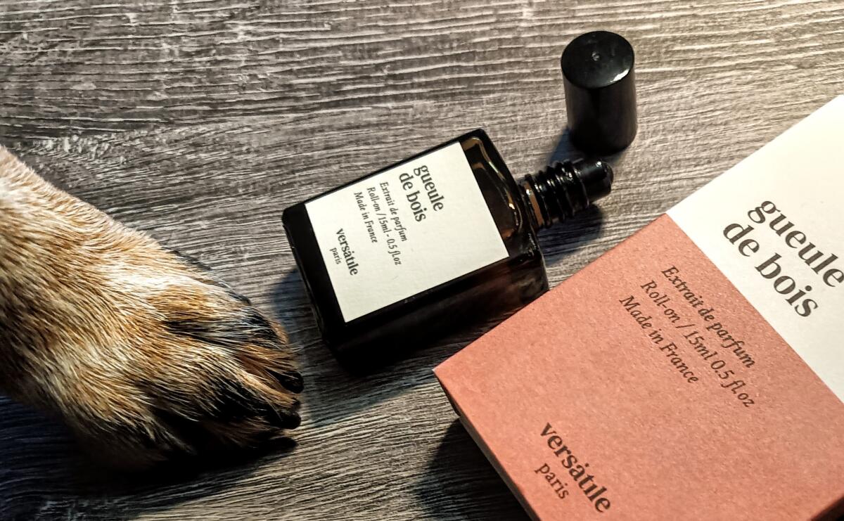 عطر ادکلن گیل د بوا ورسیتال پاریس - Gueule de Bois Versatile Paris - بررسی، قیمت و خرید