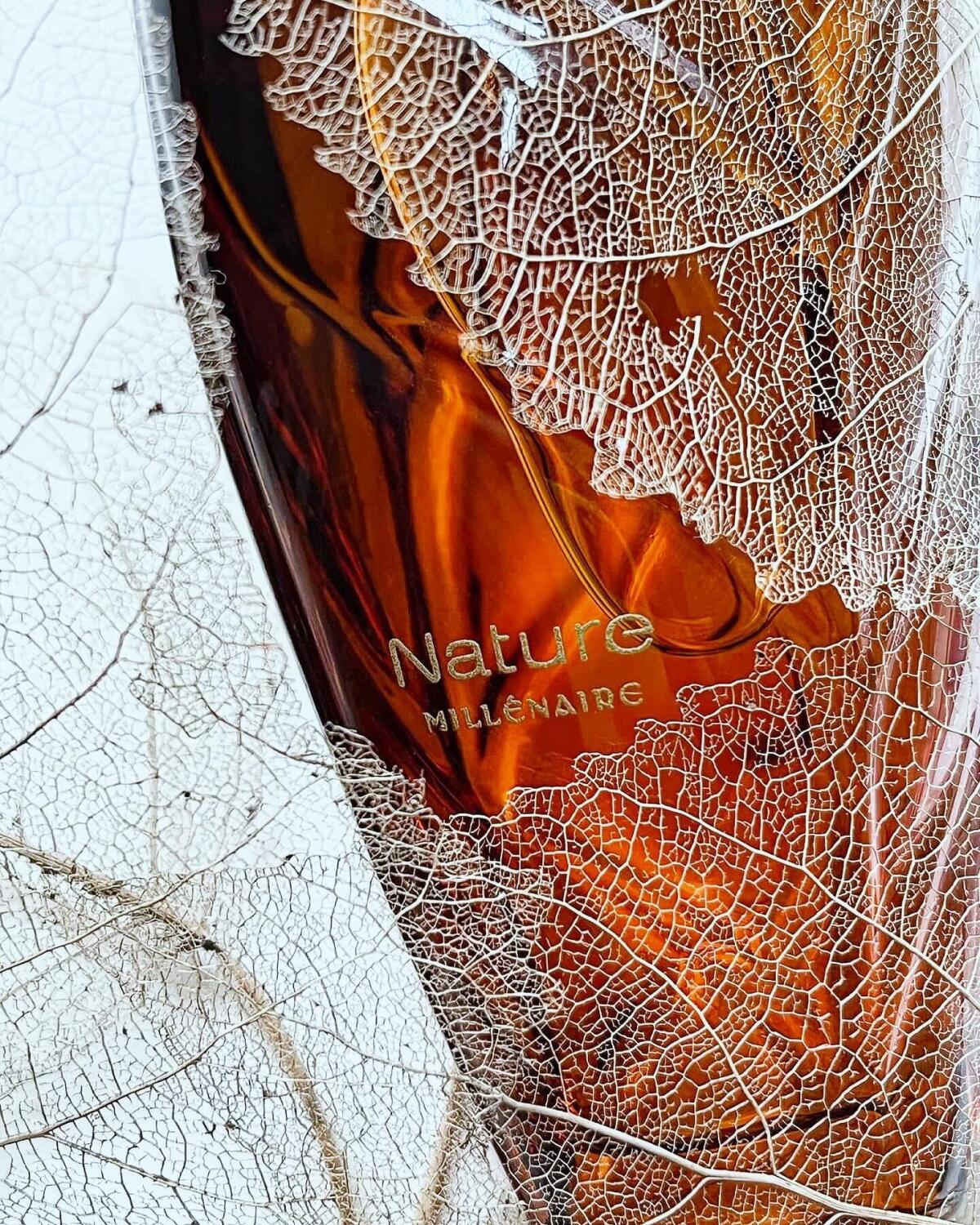 عطر ادکلن نیچر میلِنِر ایو روشه - Nature Millenaire Yves Rocher - بررسی، قیمت و خرید