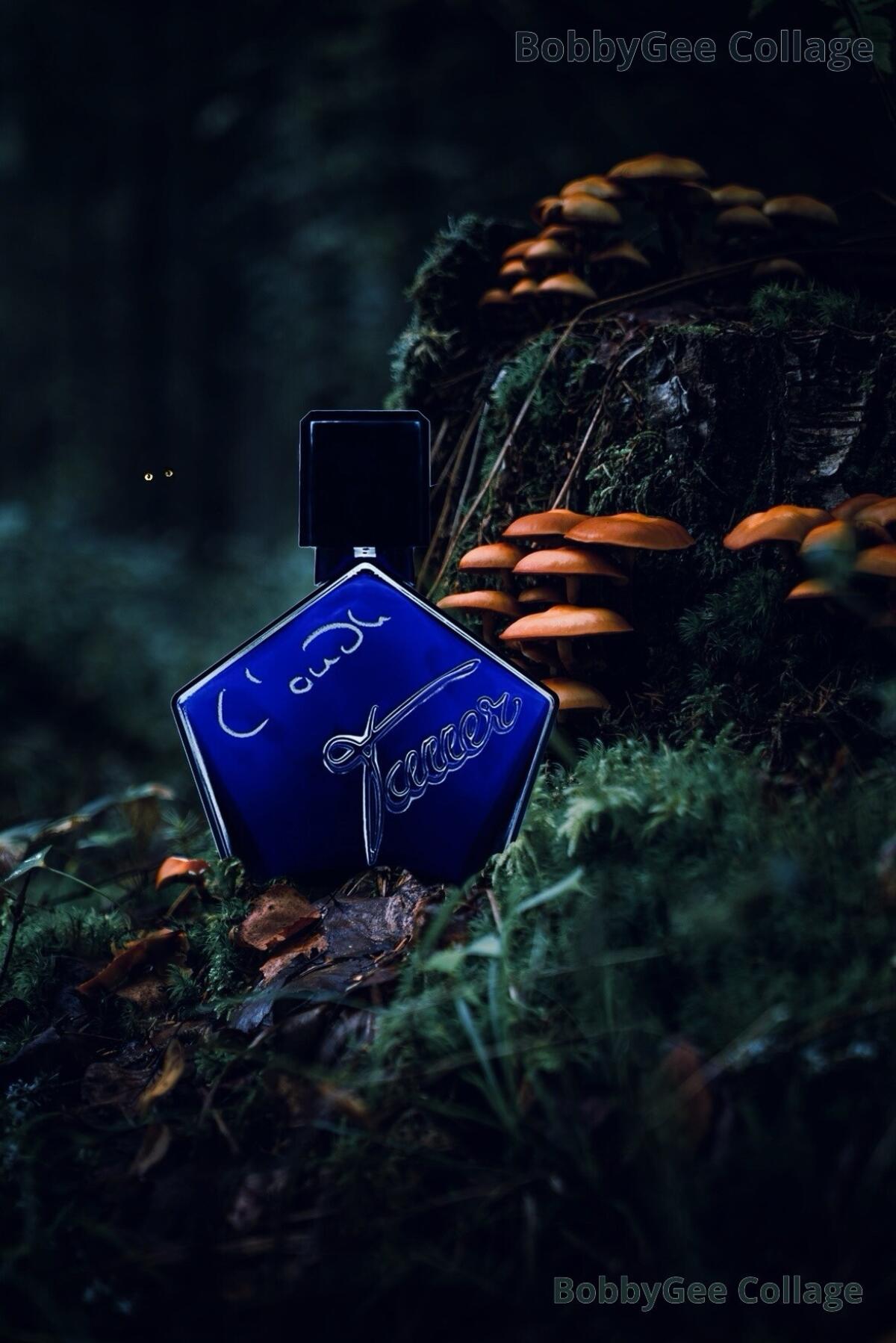 عطر ادکلن لود تاور پرفیومز - L'Oudh Tauer Perfumes - بررسی، قیمت و خرید