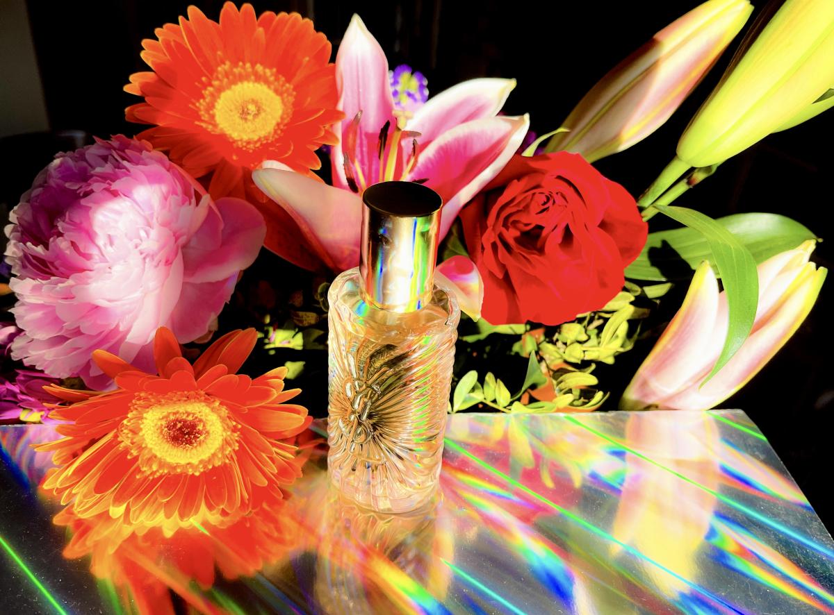عطر ادکلن ساهاریَن ایو سن لوران - Saharienne Yves Saint Laurent - بررسی، قیمت و خرید