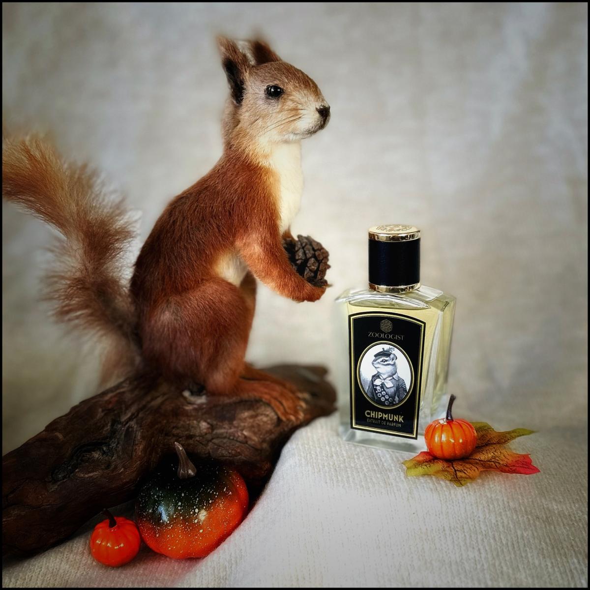 عطر ادکلن چیپمانک زئولوژیست پرفیومز - Chipmunk Zoologist Perfumes - بررسی، قیمت و خرید