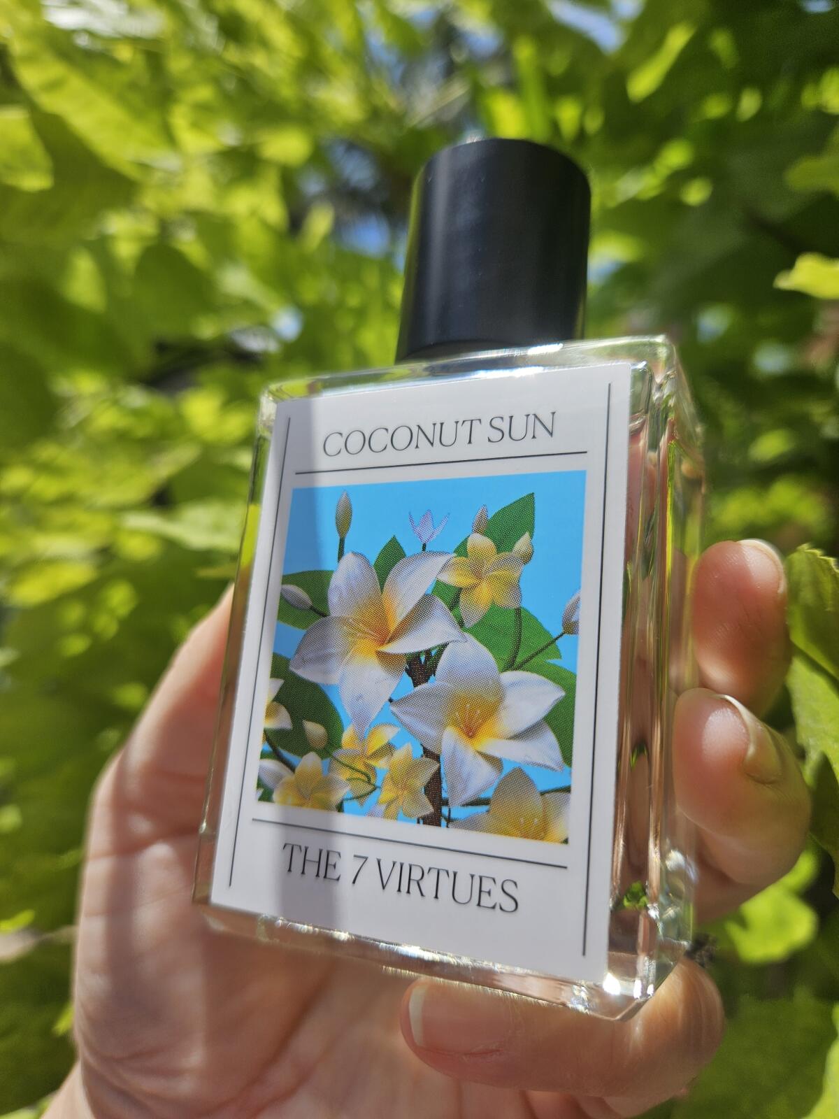 عطر ادکلن کوکونت سان د سون ویرچوز - Coconut Sun The 7 Virtues - بررسی، قیمت و خرید
