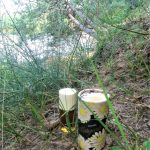 عطر ادکلن مارگاریتا دزینتارس - Margarita Dzintars - بررسی، قیمت و خرید