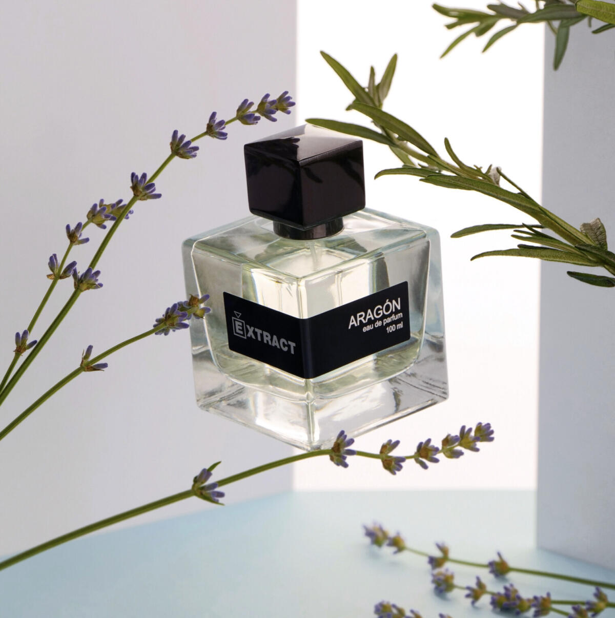 عطر ادکلن آراگون اِکستَرَکت - Aragón Extract - بررسی، قیمت و خرید