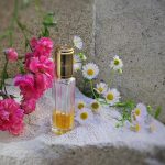 عطر ادکلن میس دیور دیور - Miss Dior Dior - بررسی، قیمت و خرید