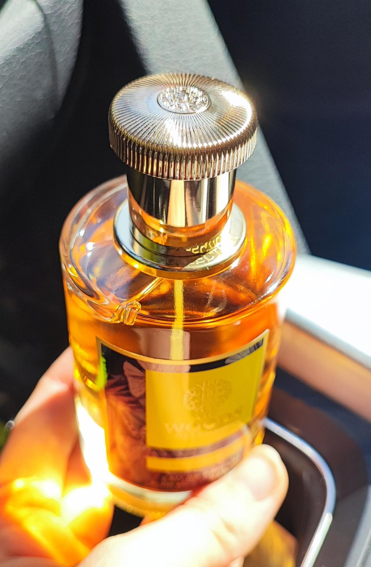 عطر ادکلن پنوراما دی وودز کالکشن - Panorama The Woods Collection - بررسی، قیمت و خرید