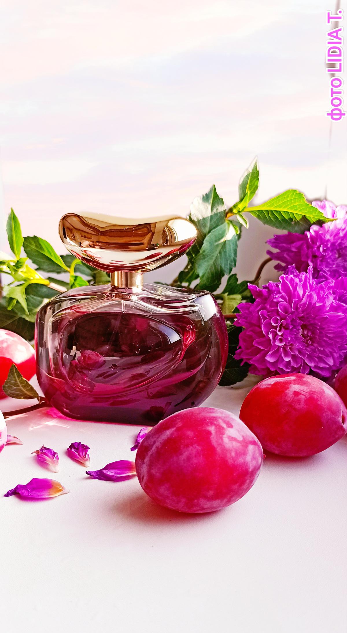 عطر ادکلن ایلومیناره اینتنسا وینس کاموتو - Illuminare Intensa Vince Camuto - بررسی، قیمت و خرید
