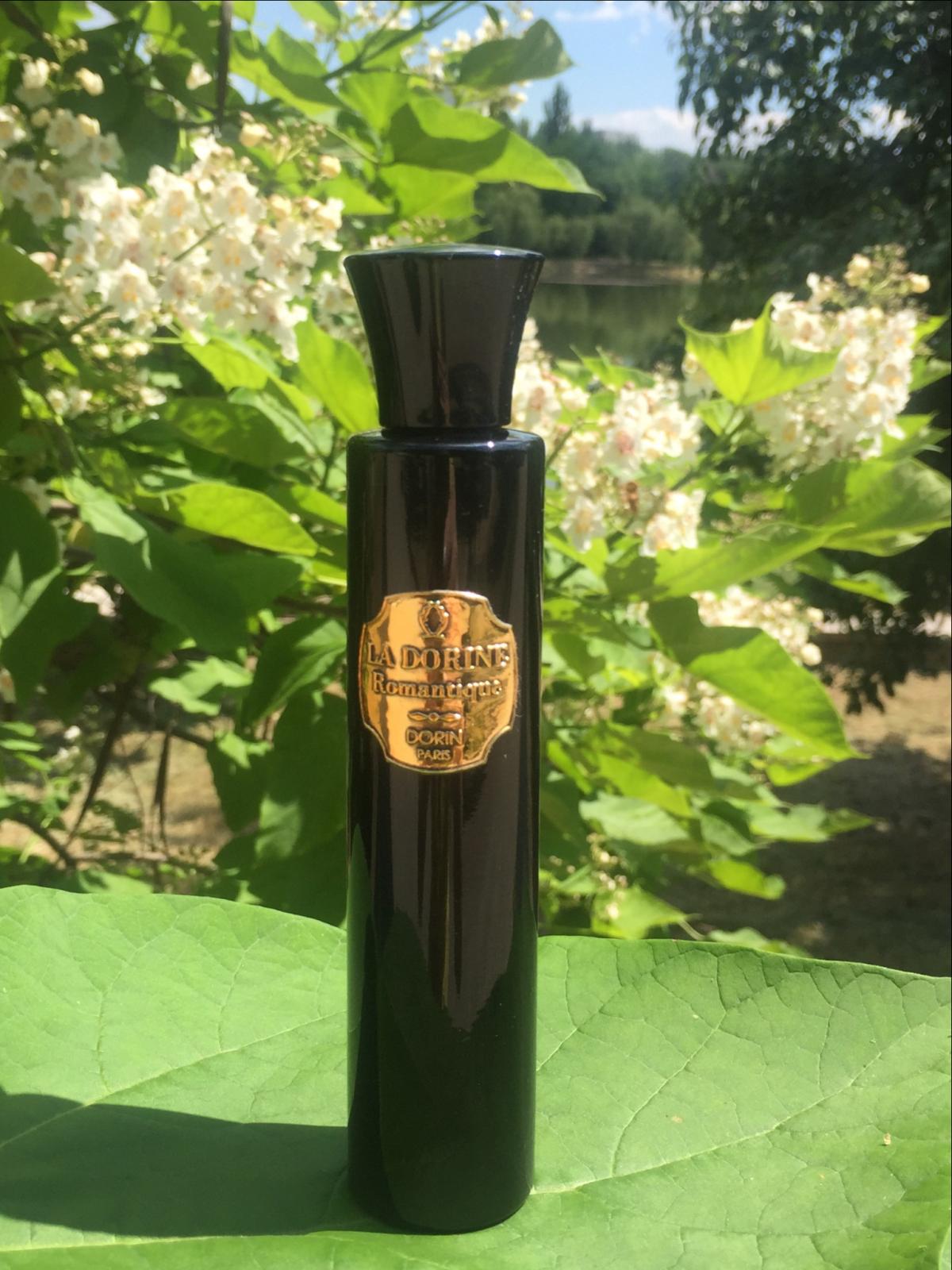 عطر ادکلن رمانتیک دورین - Romantique Dorin - بررسی، قیمت و خرید