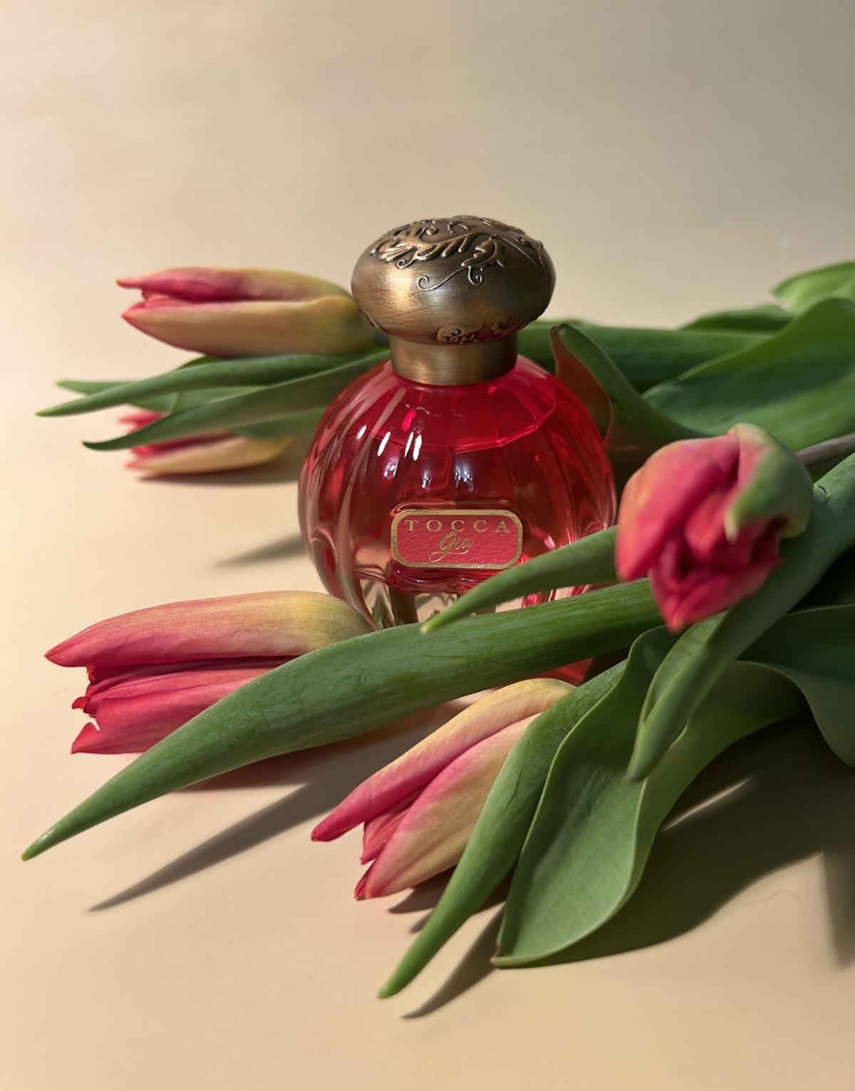 عطر ادکلن جیا توکا - Gia Tocca - بررسی، قیمت و خرید