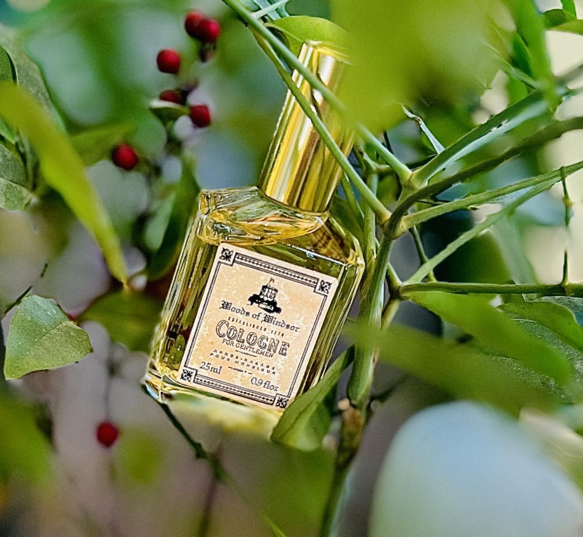 عطر ادکلن فور من وودز آف ویندسور - For Men Woods of Windsor - بررسی، قیمت و خرید