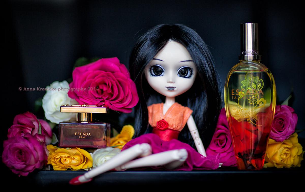 عطر ادکلن ایسپشلی اسکادا الکسیر اسکادا - Especially Escada Elixir Escada - بررسی، قیمت و خرید