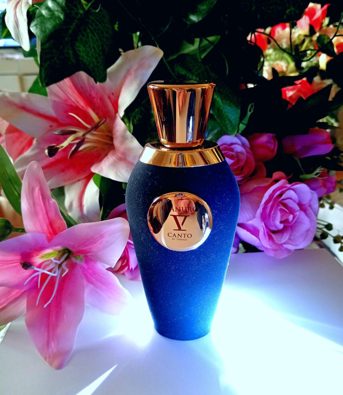 عطر ادکلن سیانورو وی کانتو - Cianuro V Canto - بررسی، قیمت و خرید