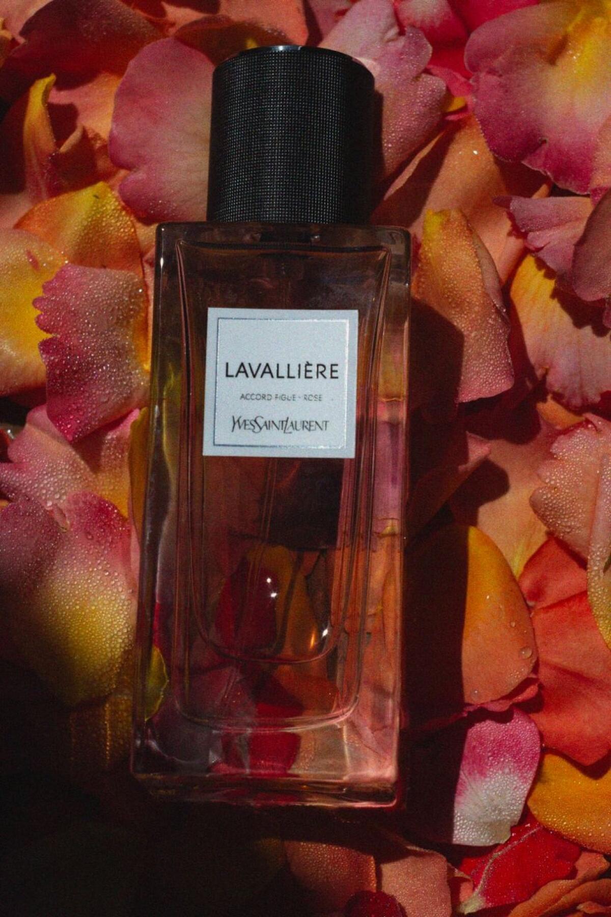 عطر ادکلن لاوالیه ایو سن لوران - Lavalliere Yves Saint Laurent - بررسی، قیمت و خرید