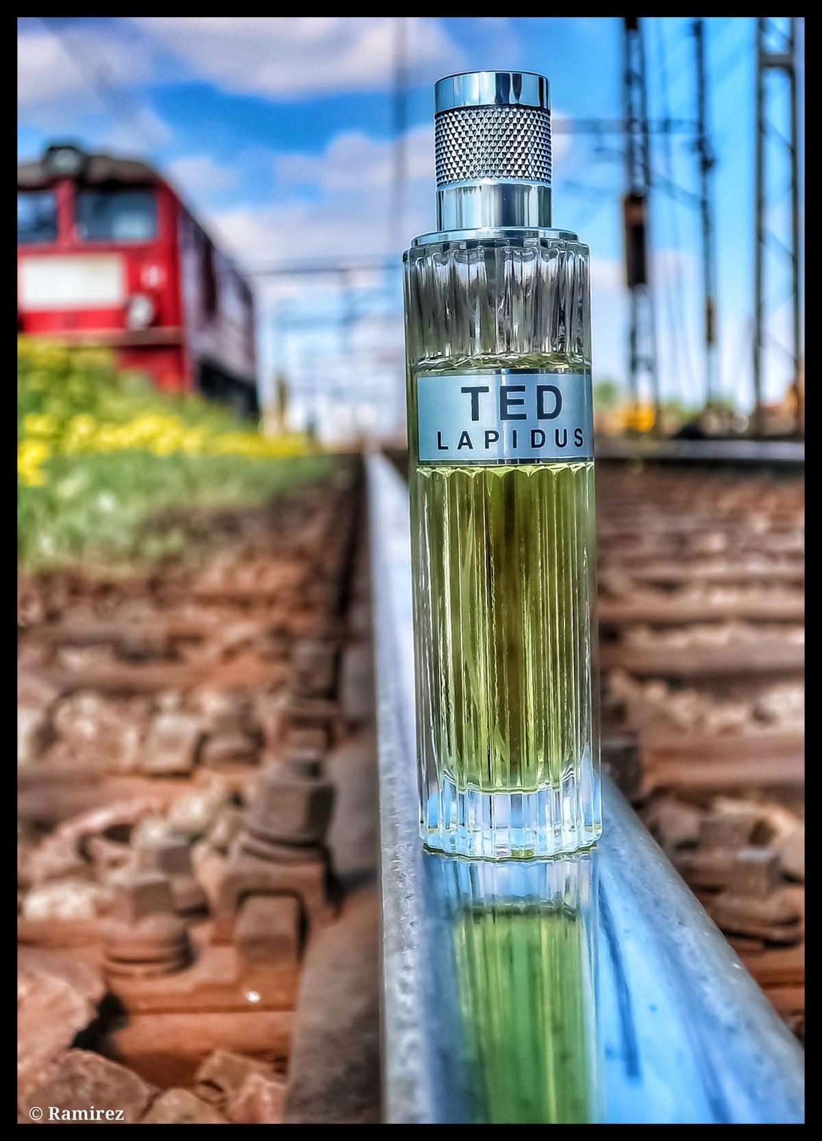 عطر ادکلن تد تد لاپیدوس - Ted Ted Lapidus - بررسی، قیمت و خرید