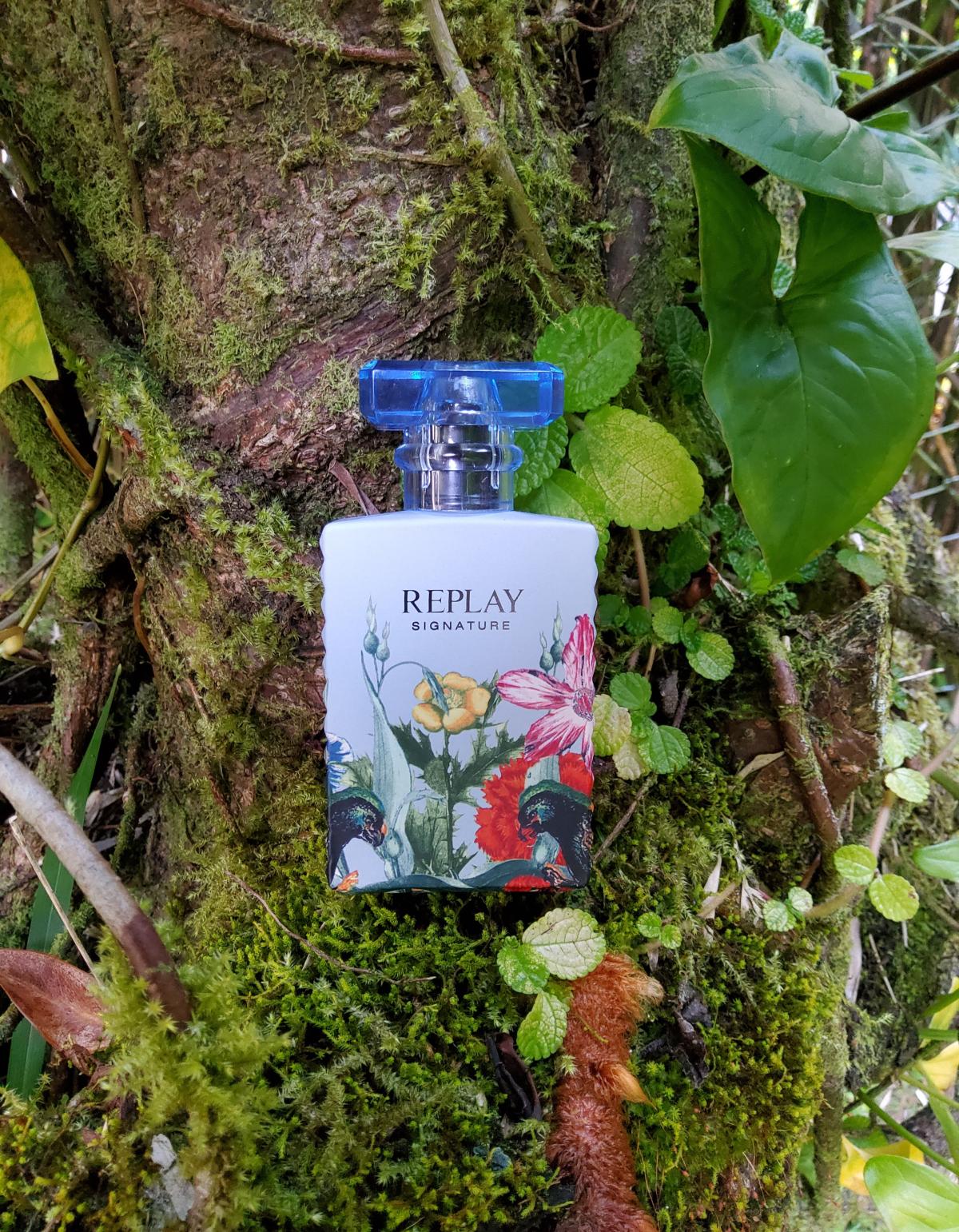 عطر ادکلن ریپلای سیگنچر سیکرت ری‌پلی - Replay Signature Secret Replay - بررسی، قیمت و خرید