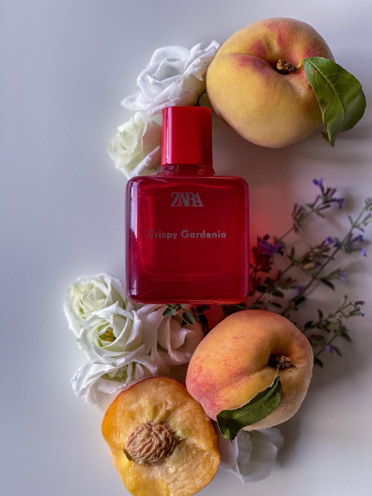 عطر ادکلن کریسپی گاردنیا زارا - Crispy Gardenia Zara - بررسی، قیمت و خرید