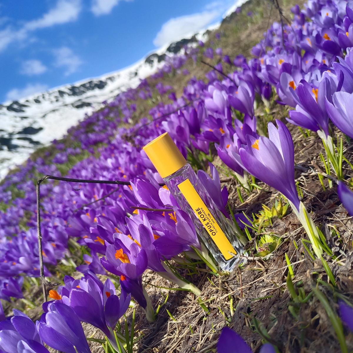 عطر ادکلن اوپوس کور ویلهلم پارفومری - Opus Kore Vilhelm Parfumerie - بررسی، قیمت و خرید