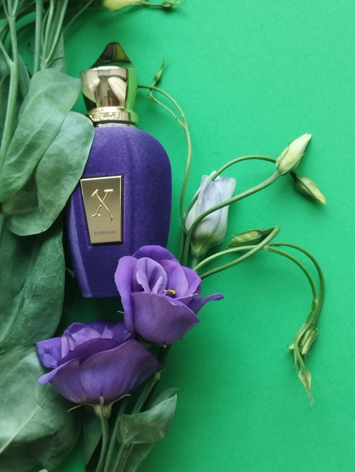 عطر ادکلن سوپرانو زرژاف - Soprano Xerjoff - بررسی، قیمت و خرید