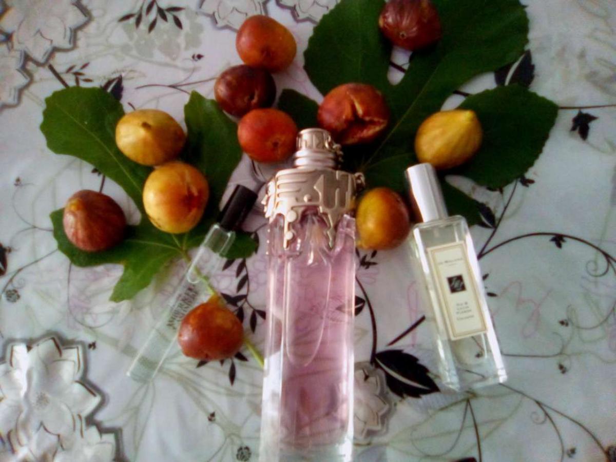 عطر ادکلن نو فور امبر اند فیگ کشمر زارا - No 4 Amber & Fig Cashmere Zara - بررسی، قیمت و خرید