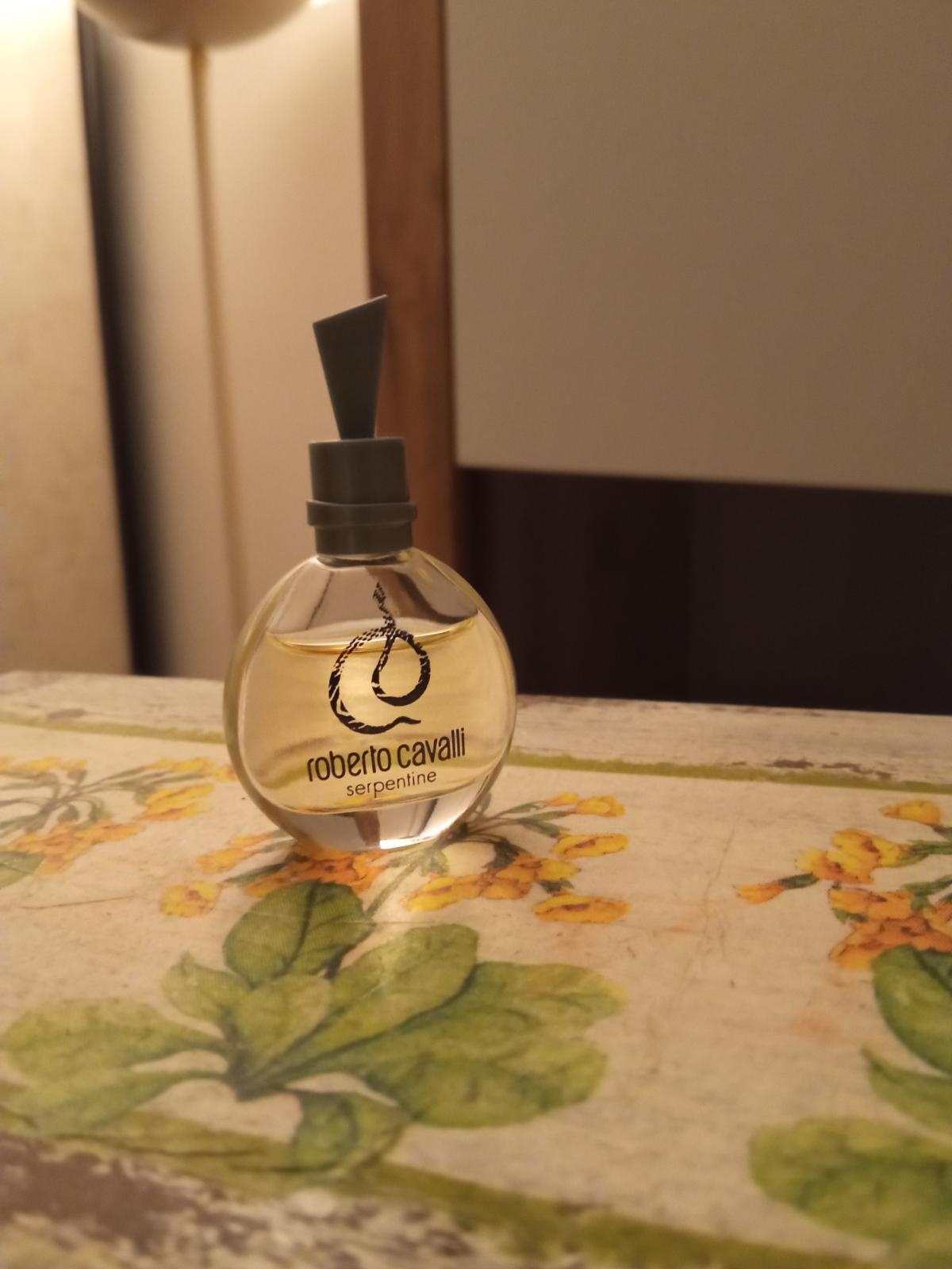 عطر ادکلن سرپنتاین سیلور روبرتو کاوالی - Serpentine Silver Roberto Cavalli - بررسی، قیمت و خرید