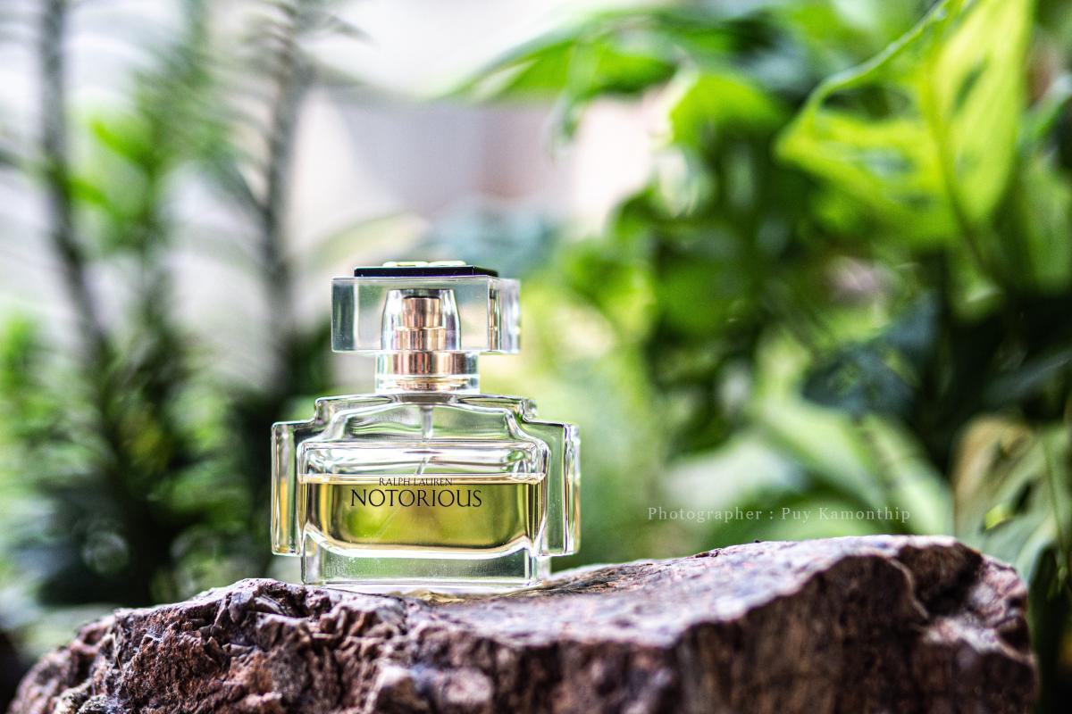 عطر ادکلن نوتوریوس رالف لورن - Notorious Ralph Lauren - بررسی، قیمت و خرید