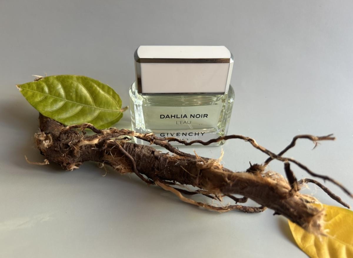 عطر ادکلن دالیا نوآر لو ژیوانشی - Dahlia Noir L’Eau Givenchy - بررسی، قیمت و خرید