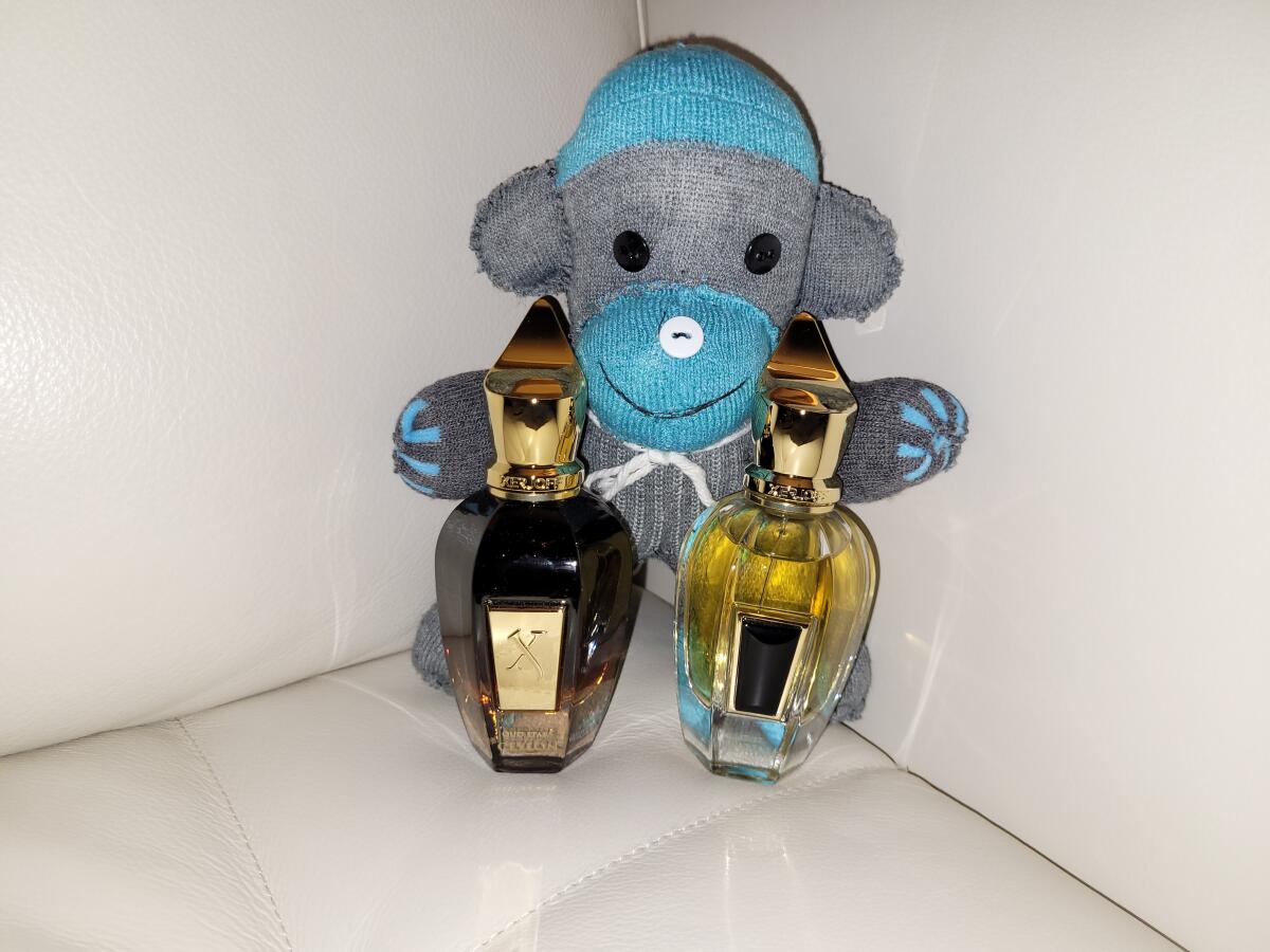 عطر ادکلن سیلان زرژوف - Ceylon Xerjoff - بررسی، قیمت و خرید