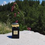 عطر ادکلن آرمانی پرایو رز د عربی جیورجیو آرمانی - Armani Privé Rose d'Arabie Giorgio Armani - بررسی، قیمت و خرید
