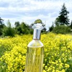 عطر ادکلن اسپلندور الیزابت آردن - Splendor Elizabeth Arden - بررسی، قیمت و خرید