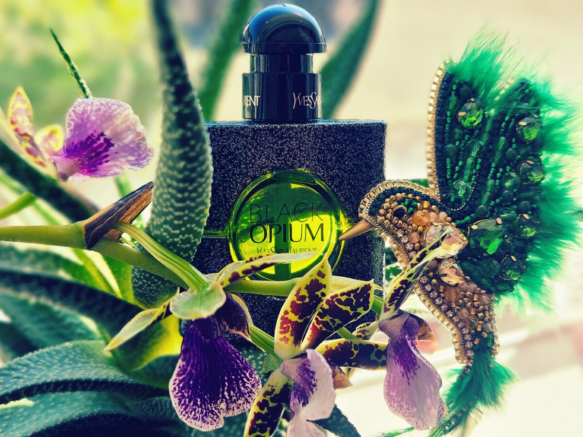 عطر ادکلن بلک اوپیوم ایلیسیت گرین ایو سن لورن - Black Opium Illicit Green Yves Saint Laurent - بررسی، قیمت و خرید