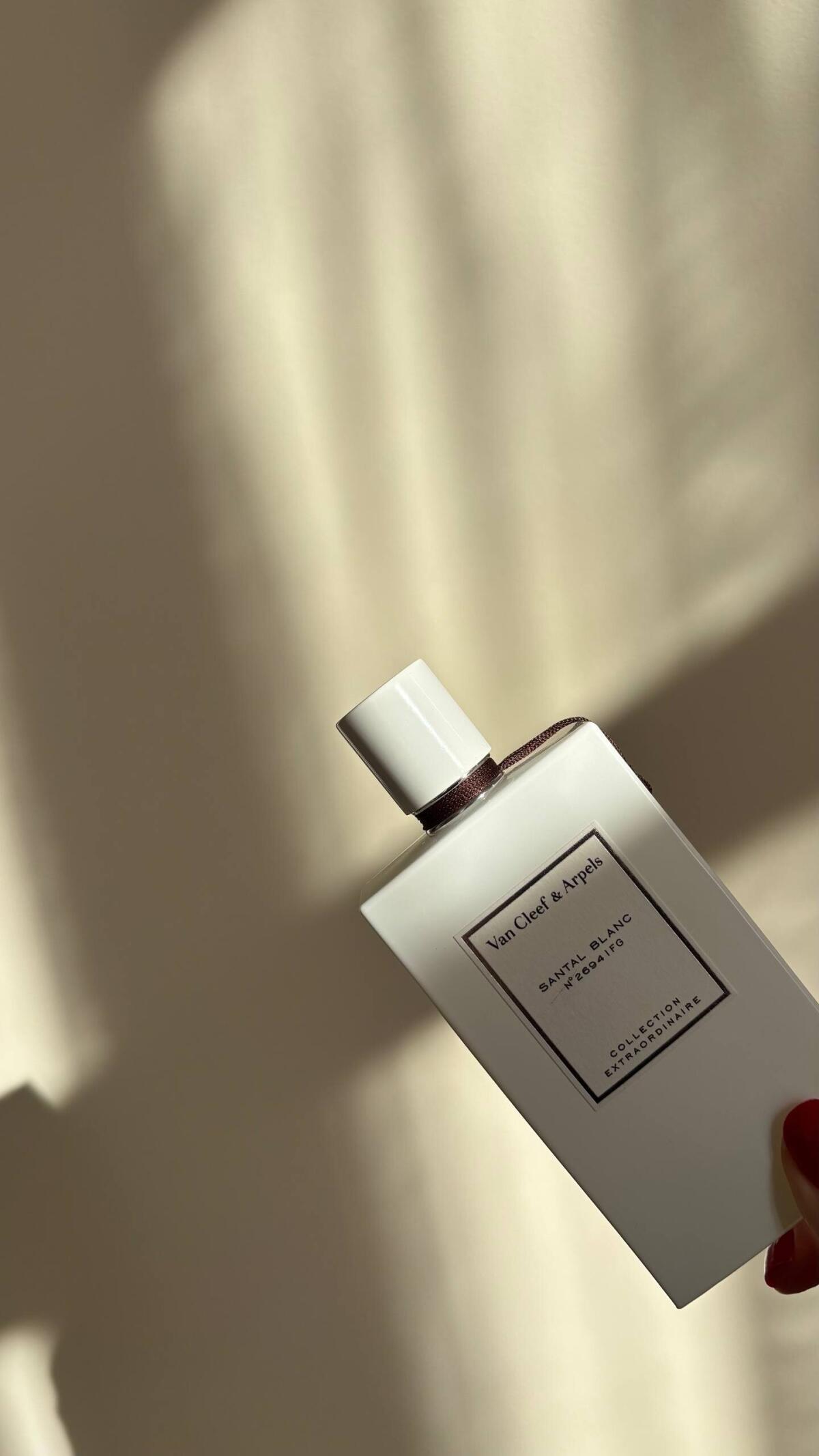 عطر ادکلن سانتال بلانک ون کلیف اند آرپلز - Santal Blanc Van Cleef & Arpels - بررسی، قیمت و خرید