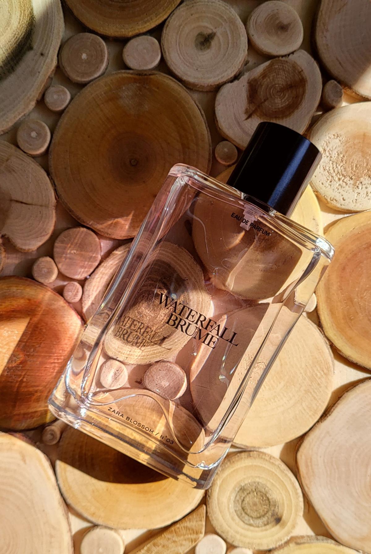 عطر ادکلن نمبر سه واترفال بروم زارا - N°03 Waterfall Brume Zara - بررسی، قیمت و خرید