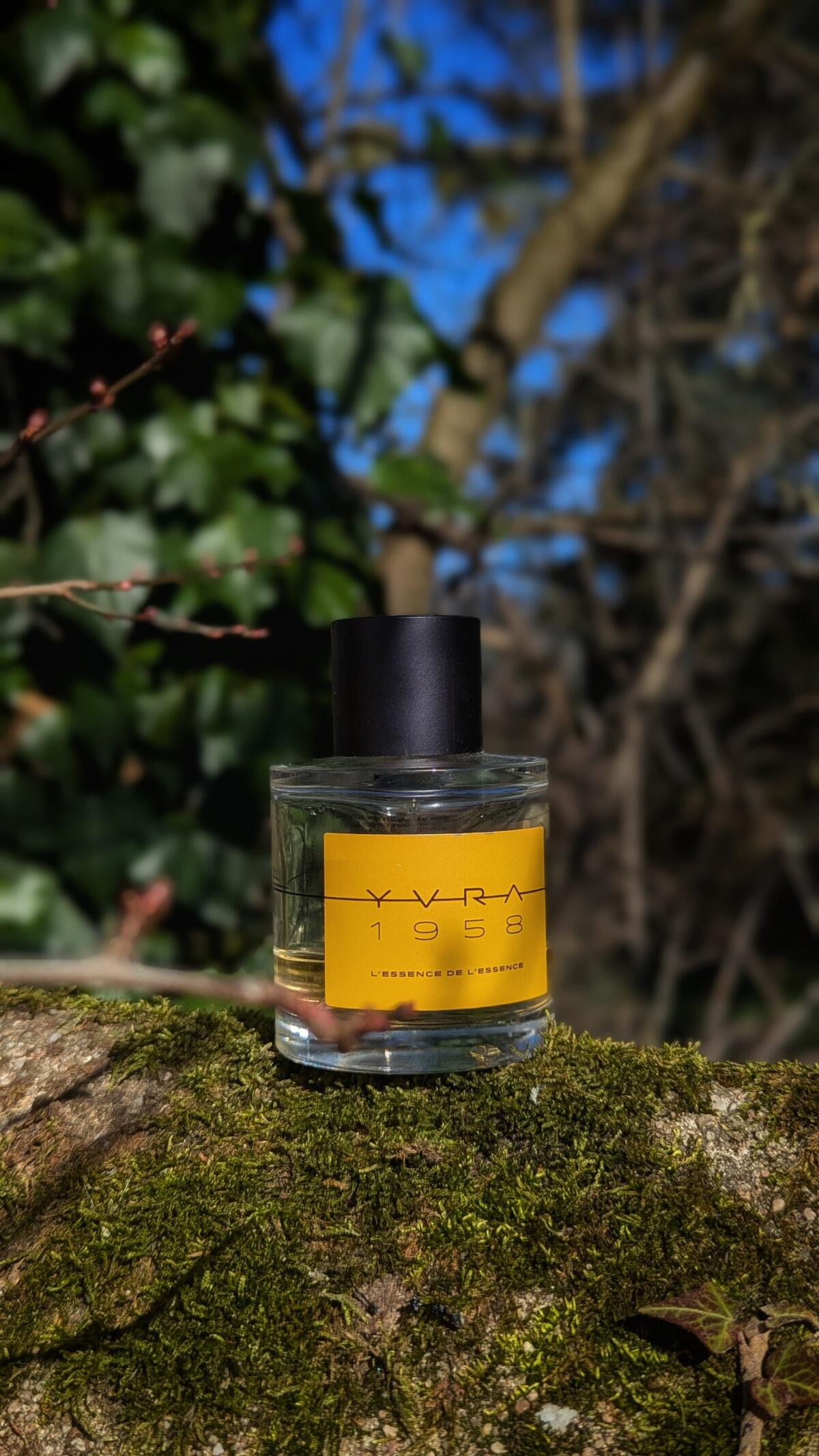 عطر ادکلن ل اسنس د لاسنس یورا - 1958 - L’Essence de L’Essence YVRA - بررسی، قیمت و خرید