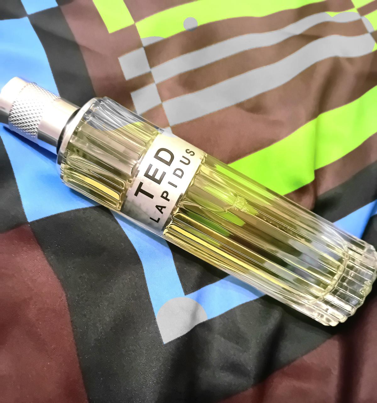 عطر ادکلن تد تد لاپیدوس - Ted Ted Lapidus - بررسی، قیمت و خرید