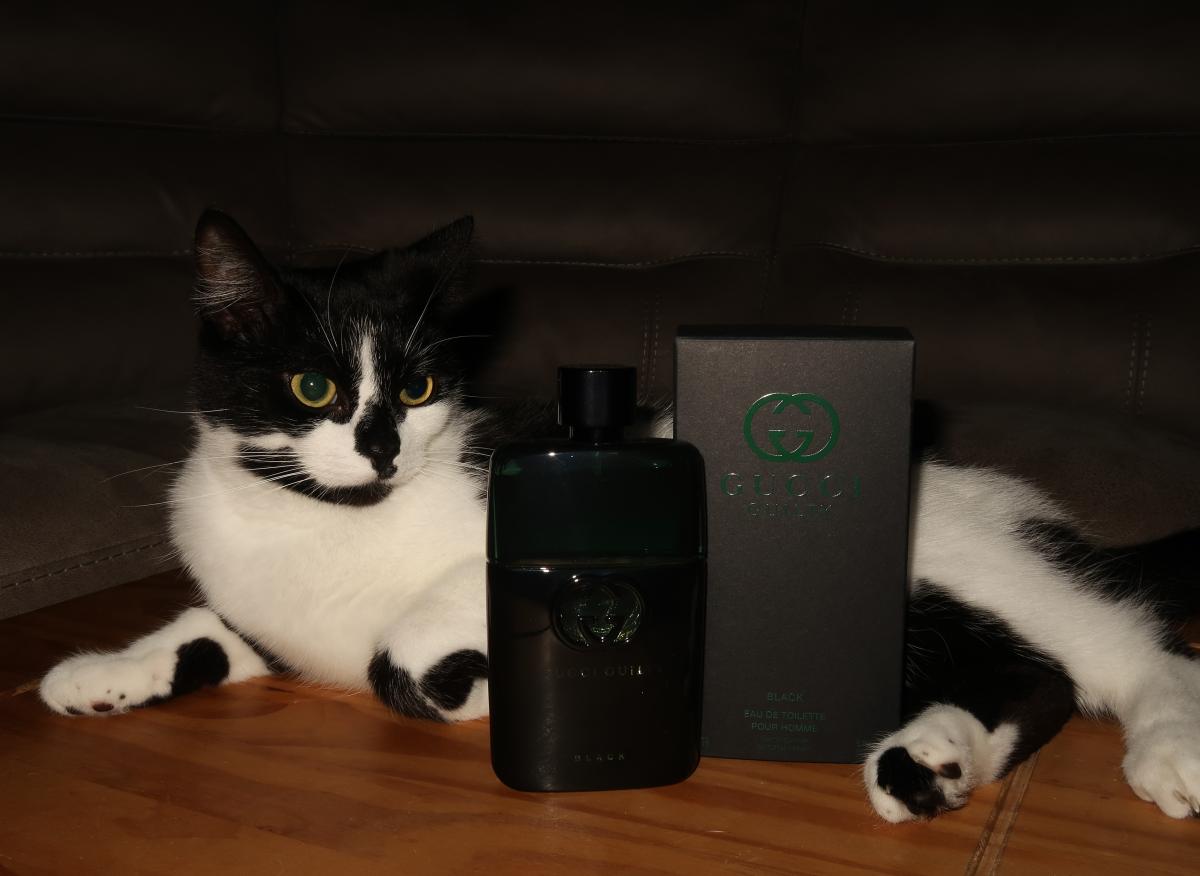 عطر ادکلن گوچی گیلتی بلک پور هوم گوچی - Gucci Guilty Black Pour Homme Gucci - بررسی، قیمت و خرید