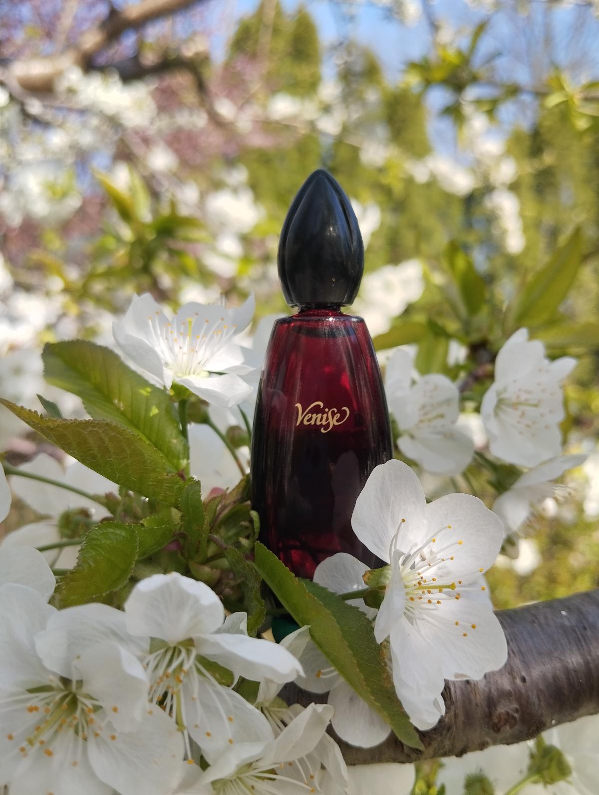عطر ادکلن ونیز ایو روشه - Venice Yves Rocher - بررسی، قیمت و خرید